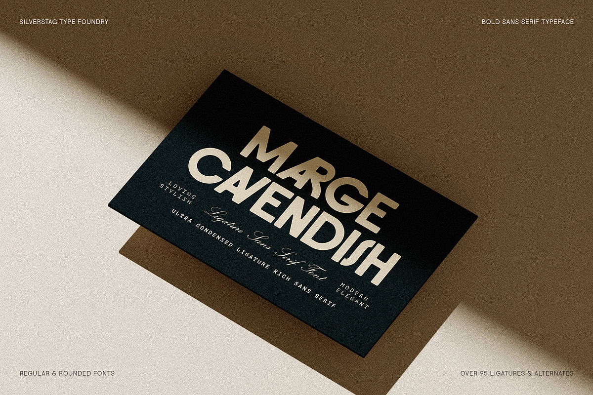 FlyBridge - Bold Ligature Rich Sans, a Sans Serif Font by SilverStag Type Foundry (Photo 20 of 30)