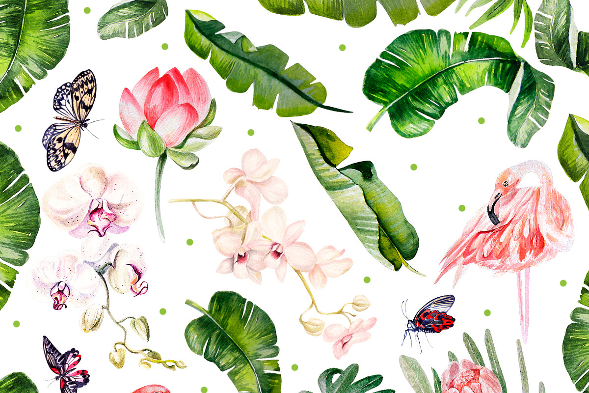 Hand Drawn watercolor TROPICS 2, an Object Graphic by Knopazyzy (Photo 2 of 4)