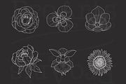 Ornament + Flowers, Pattern + Flower, a Brush Add-On by Lucrumplus (Thumbnail 5 of 10)