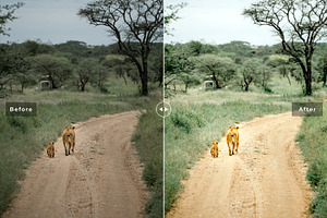 Serengeti Pro Lightroom Presets