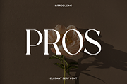 Pros - Elegant Serif, a Serif Font by Luna Shop (Thumbnail 1 of 6)