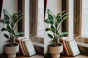 10 BOHO BOOK LIGHTROOM PRESETS, an Action Add-On by Emma Kate Creative (Thumbnail 5 of 10)
