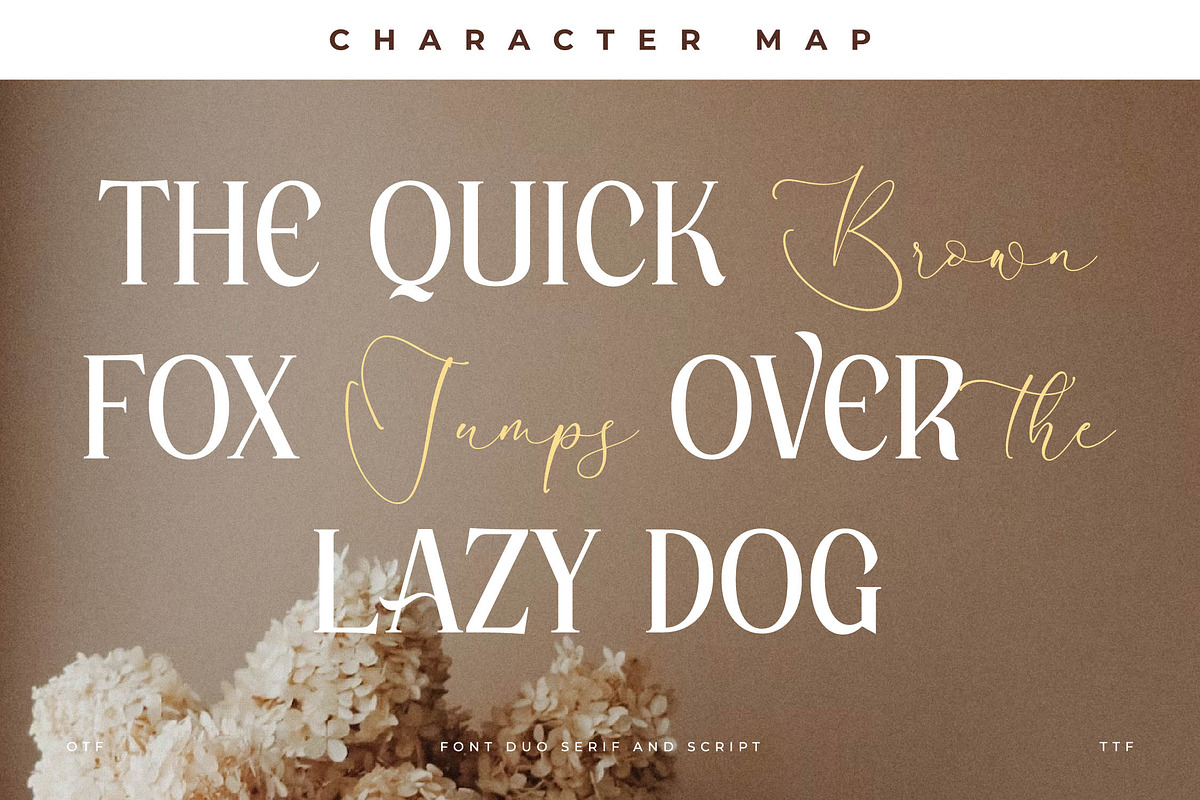 Kingdom Estella Font Duo, a Serif Font by Storytype Studio (Photo 10 of 15)