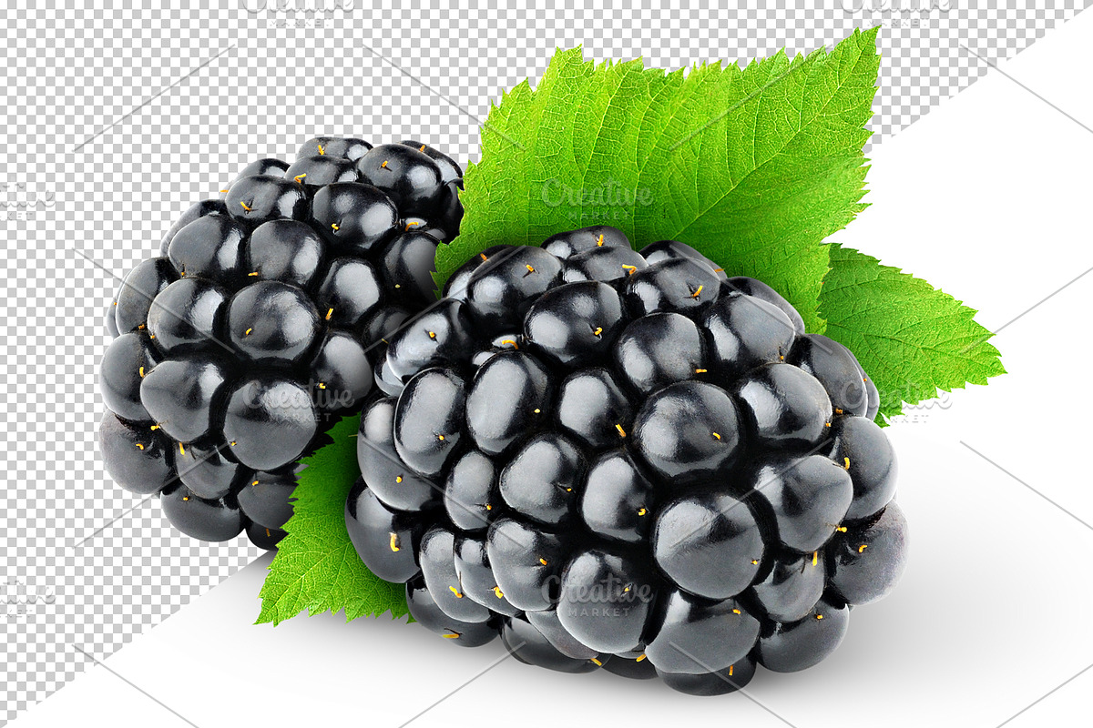 Two blackberries preview 4