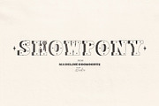 Show Pony Hand Drawn Western Font, a Slab Serif Font by Madeline ODonoghue Design (Thumbnail 4 of 10)