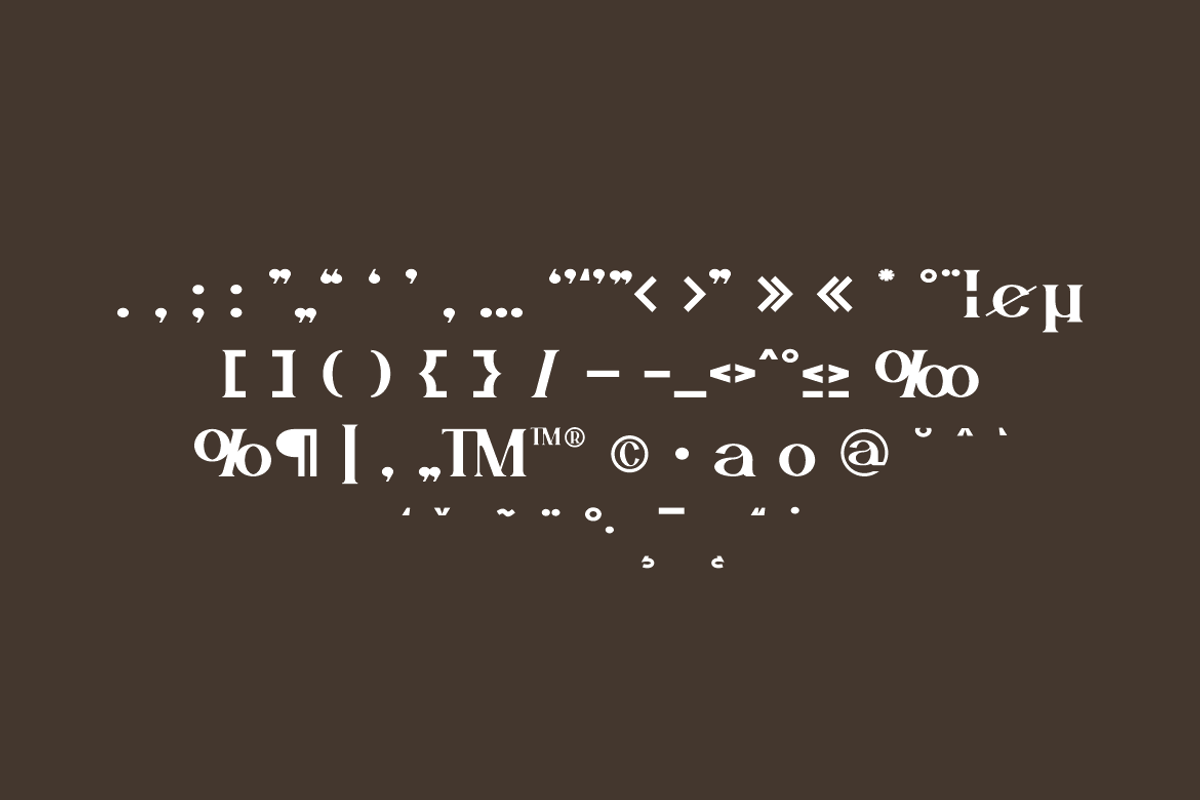 Aesthetic Mofash - Luxury Bold Font, a Serif Font by QR Design Studio (Photo 12 of 13)