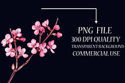 Spring Redbud Flower Clipart, an Illustration by Libby Wishes (Thumbnail 4 of 7)