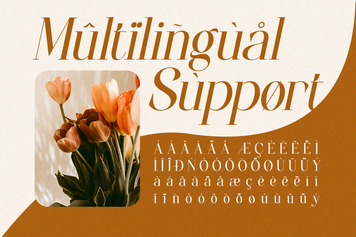 Coalissa - A Minimal Elegant Serif, a Serif Font by Qweera Studio (Photo 11 of 12)