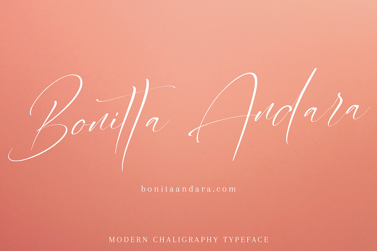 Alberto, a Script Font by pineungtype (Photo 4 of 8)