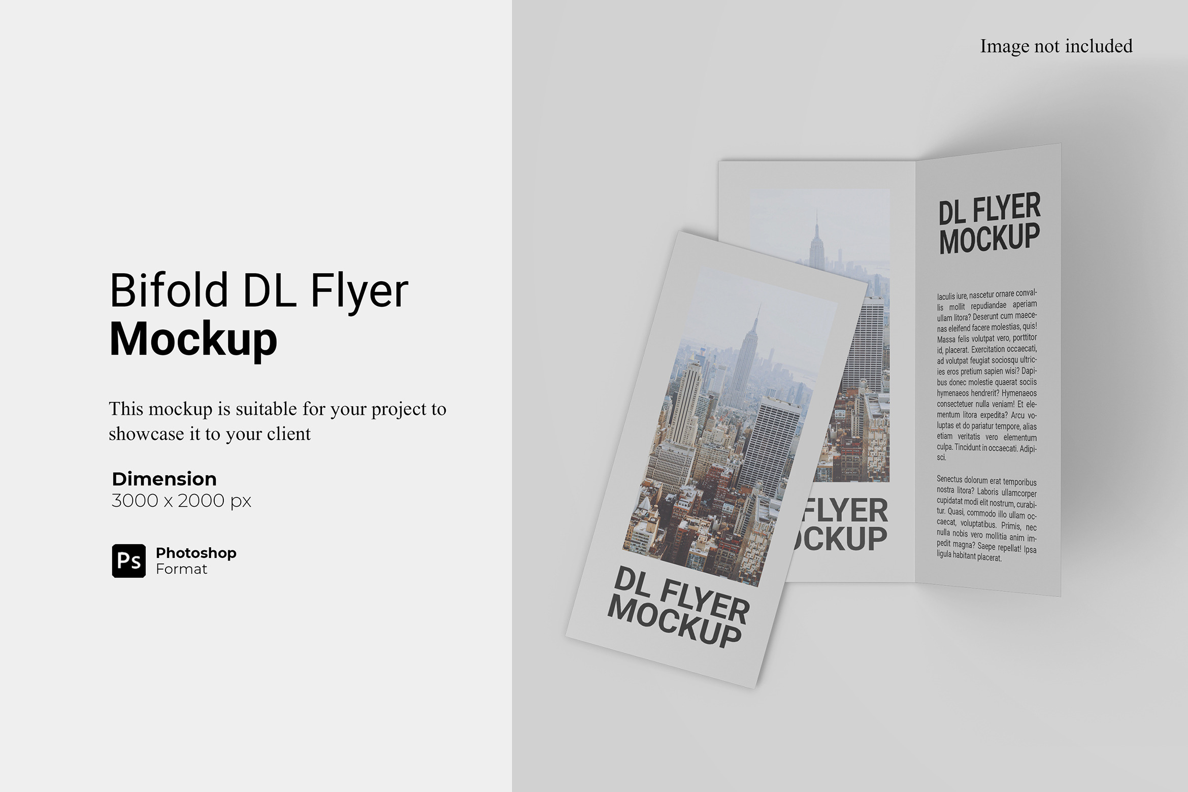 Bifold DL Flyer Mockup