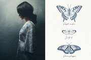 Wings in Ink. Vector Butterflies, an Object Graphic by PenguinArtStudio (Thumbnail 5 of 6)