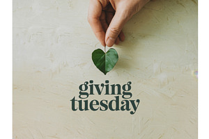 Hand Holding Heart-Shaped Leaf Over, an Illustration by tilialucida
