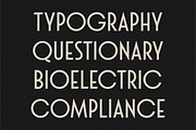 Grand Casino Display Sans, a Sans Serif Font by Letteralle Studios (Thumbnail 5 of 14)