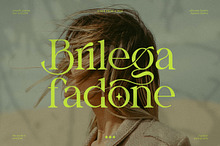 Brilega Fadone | Modern Classy Serif