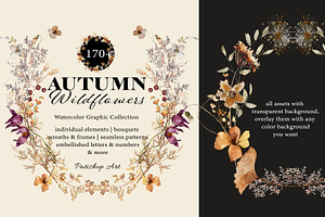 Autumn Watercolor Wildflower Clipart