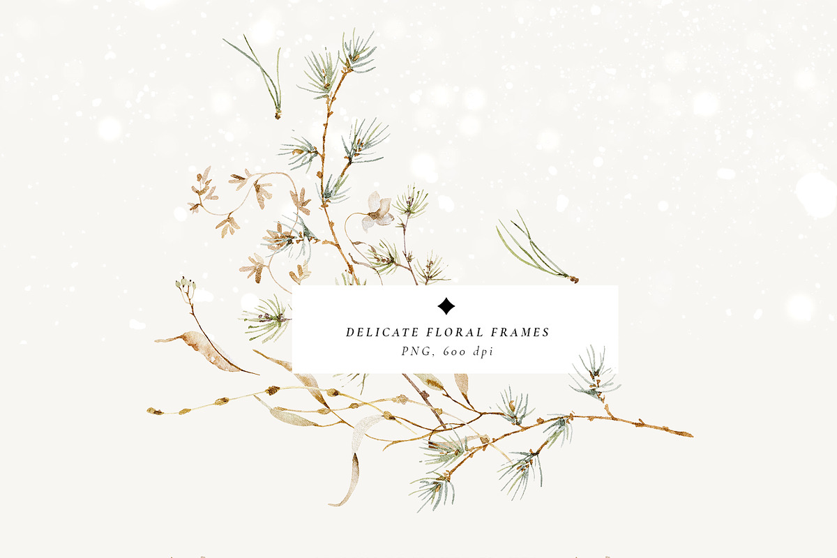 Cold season - watercolor wildflowers, a Decorative Illustration by Pamyatka Shop (Photo 9 of 18)