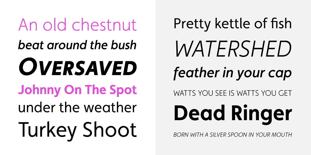 Faricy New, a Sans Serif Font by Moretype (Photo 3 of 5)