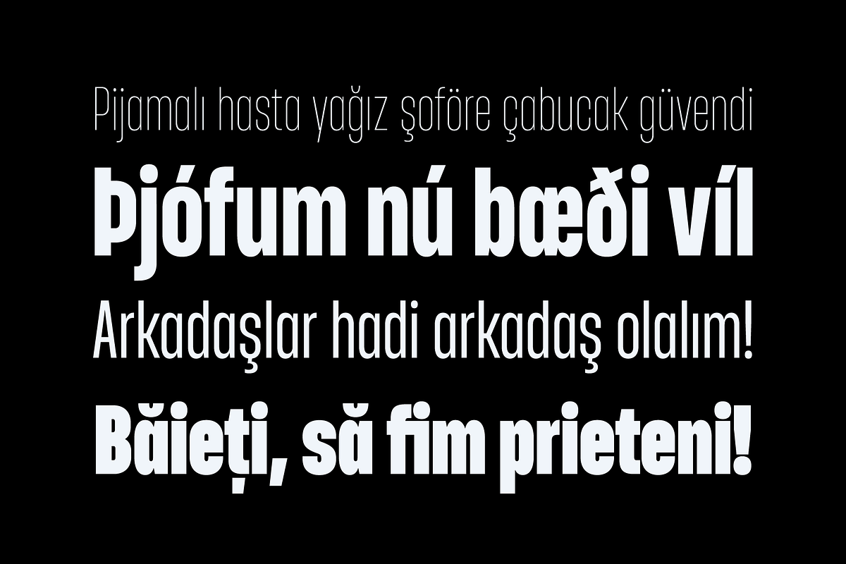 Entropia — condensed geometric sans, a Sans Serif Font by Slava Antipov (Photo 13 of 14)