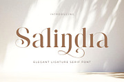 Salindra - Elegant Modern Serif Font, a Serif Font by Jimoji (Thumbnail 1 of 7)