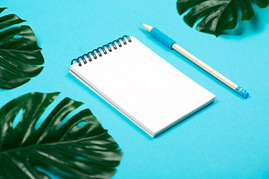Blank notepad, pencil and monstera, a School & Education Photo by Anna Efetova