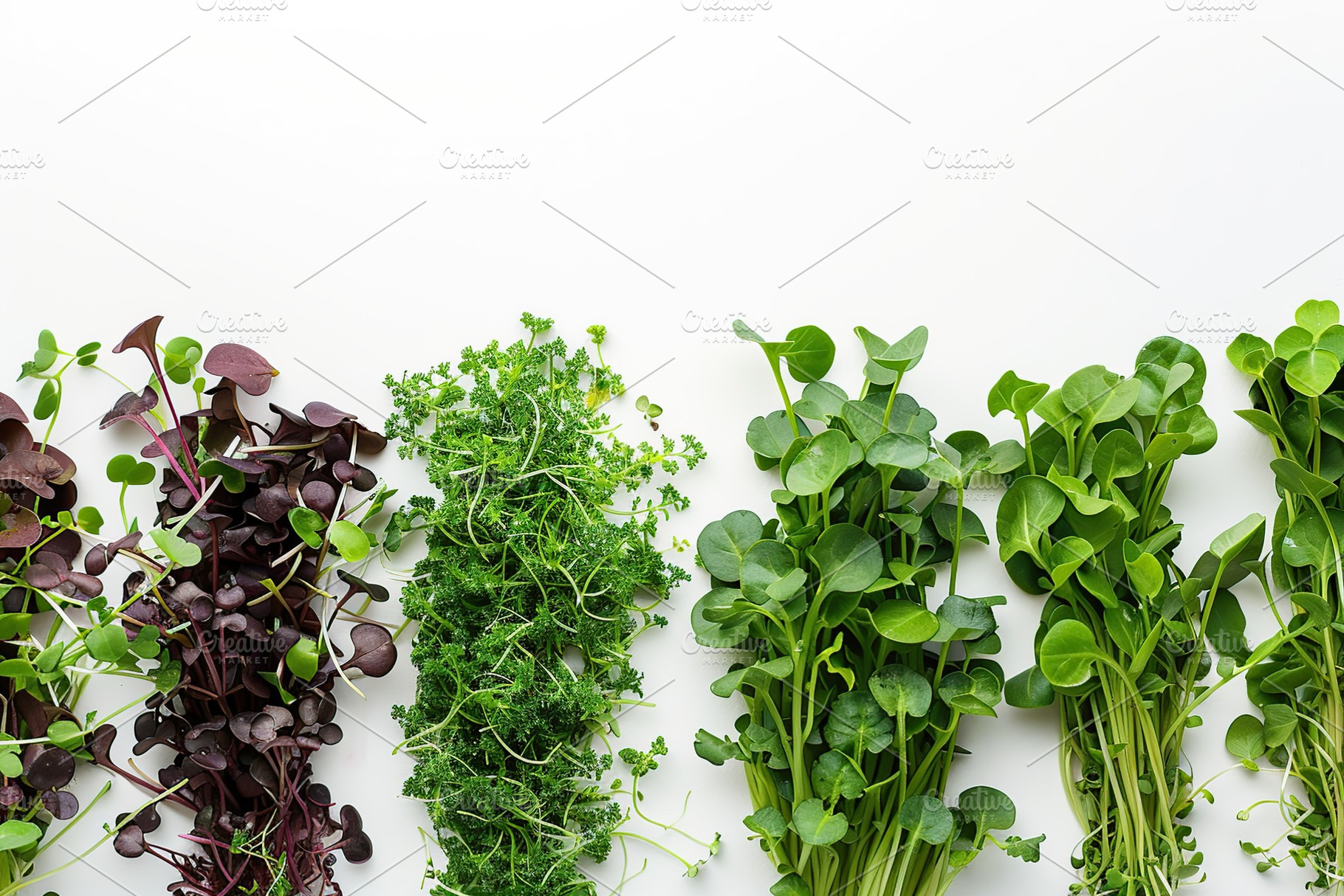 Different fresh microgreens on white background, a Food & Drink Photo by AlyaAnd
