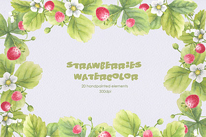 Strawberries watercolor