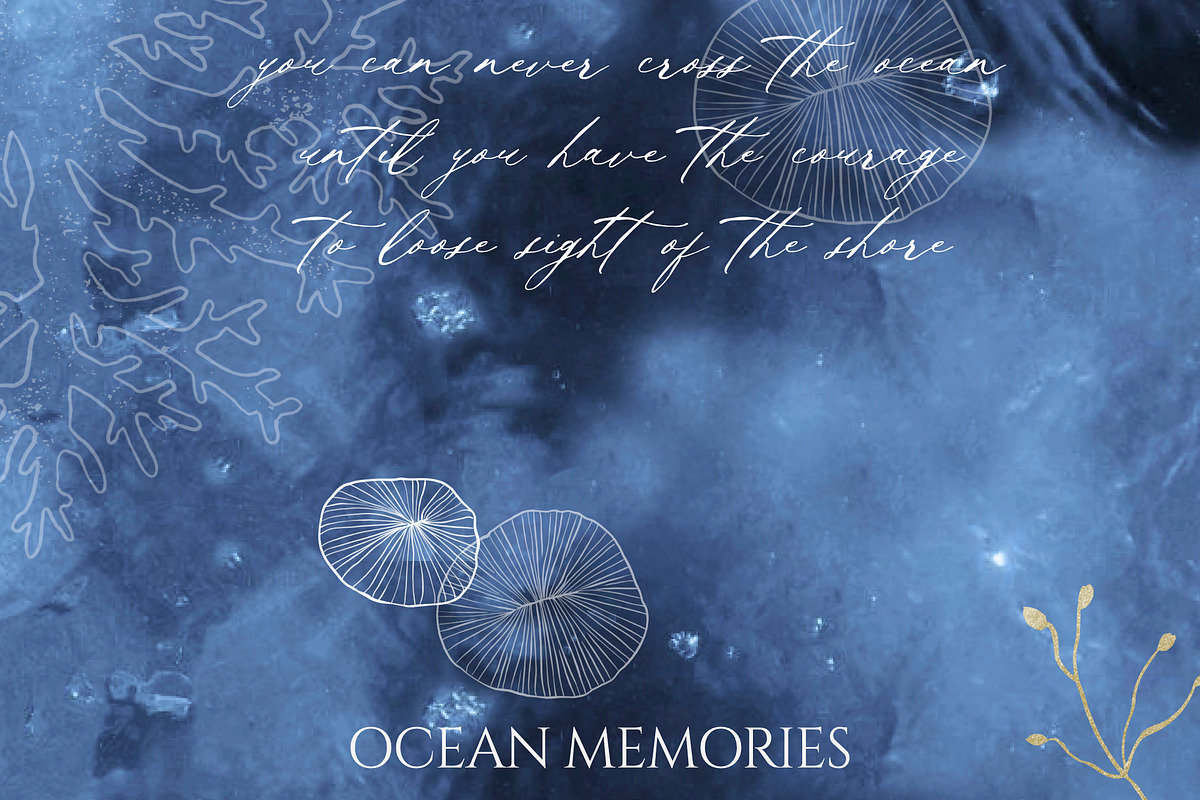 Ocean Memories Underwater Collection, an Animal Illustration by beehouse studio (Photo 7 of 12)