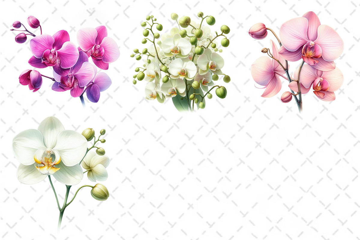 Watercolor Orchid Clipart, an Illustration by Dream Creation (Photo 5 of 5)