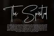 Ameriondela Luxury Classy Font, a Script Font by Maulana Creative (Thumbnail 5 of 11)