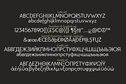 Studio Gothic - 24 fonts, a Sans Serif Font by Zetafonts (Thumbnail 9 of 9)