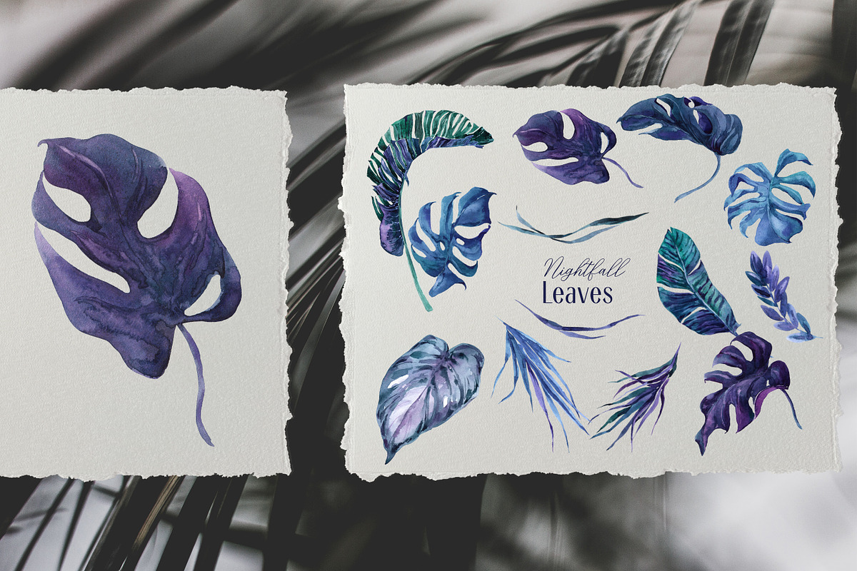 Nightfall Tropics Watercolor Set, an Illustration by Cat In Colour (Photo 5 of 11)