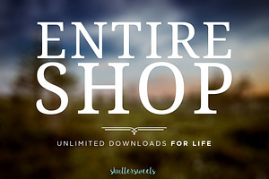 59% Off - Entire Shop Bundle
