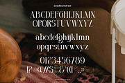 Alveron - Beauty Serif Font, a Serif Font by Flawless And Co (Thumbnail 10 of 10)