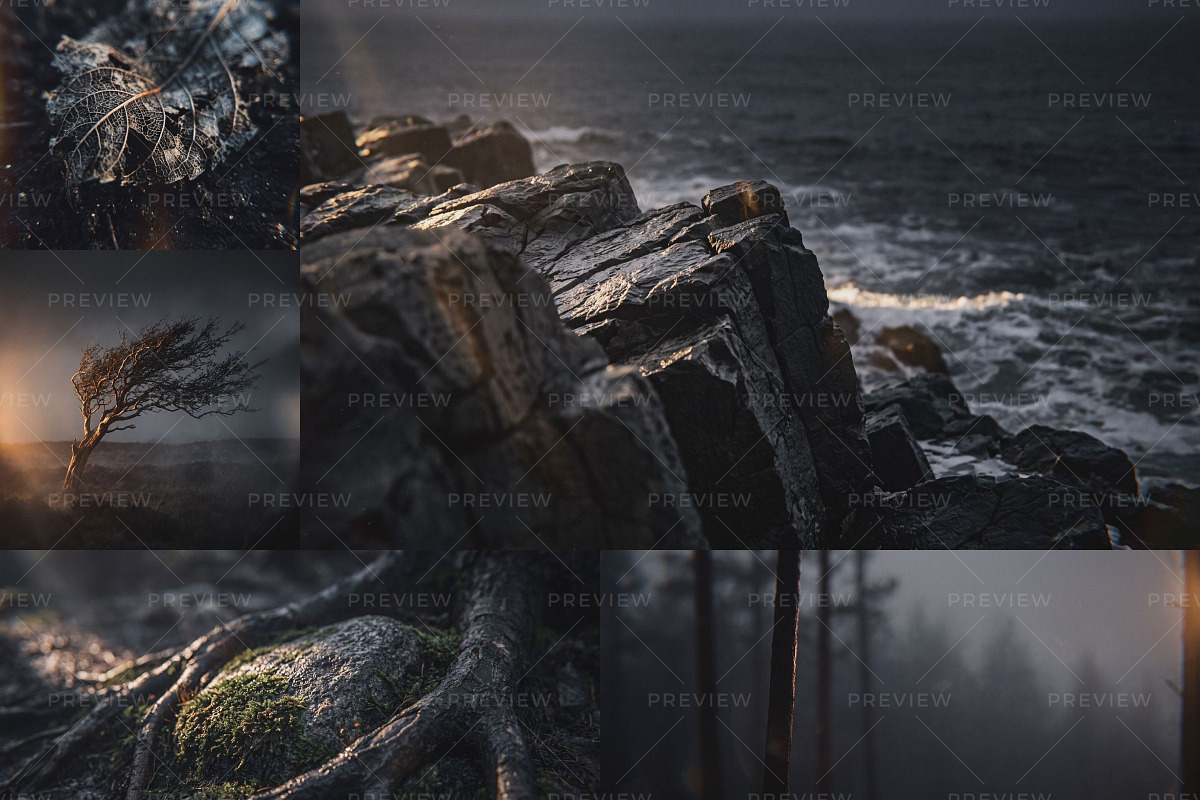 Witchy Rune Reader Stock Bundle, a Person Photo by Iconogenic (Photo 4 of 11)