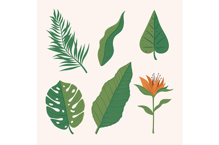 six floral jungle icons, a Decorative Illustration by studiogstock