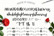 Smoothie Life [Font Duo], a Script Font by Julia Dreams (Thumbnail 6 of 6)