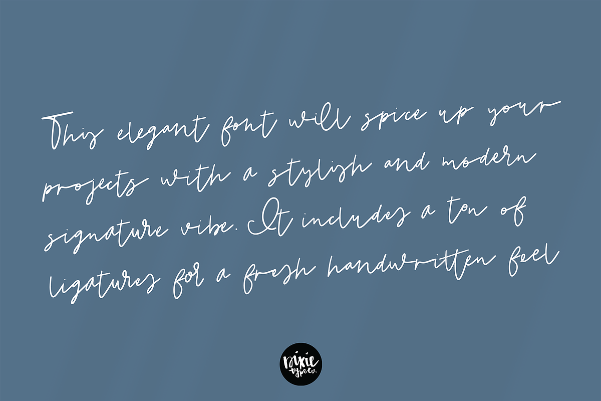 NEW YORK a Signature Script Font preview 4