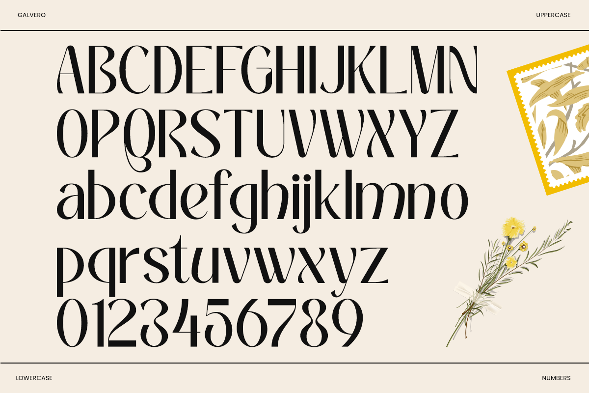 Galvero – Decorative Family Font, a Sans Serif Font by Say Studio (Photo 8 of 9)