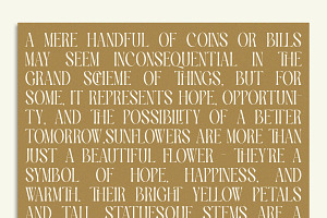 TBJ Palatino Stylish Serif Font