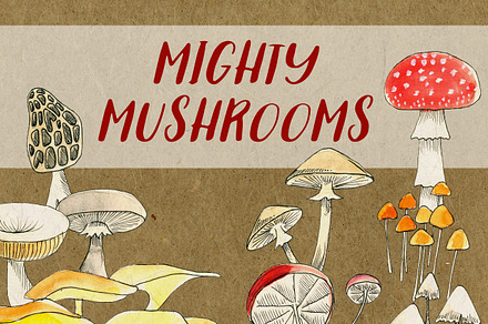 Mighty Mushrooms Watercolor Clip Art