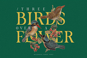 Fliren - Stylish Serif Font, a Serif Font by Sronstudio (Thumbnail 2 of 16)