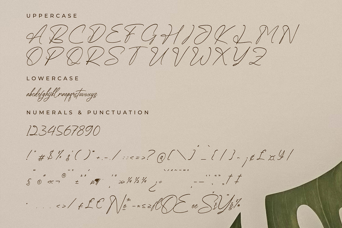Qedgan Mellodysta A Modern Font Duo, a Serif Font by Storytype Studio (Photo 11 of 15)