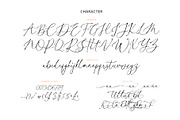 Cellita Script, a Script Font by Realtype (Thumbnail 10 of 10)