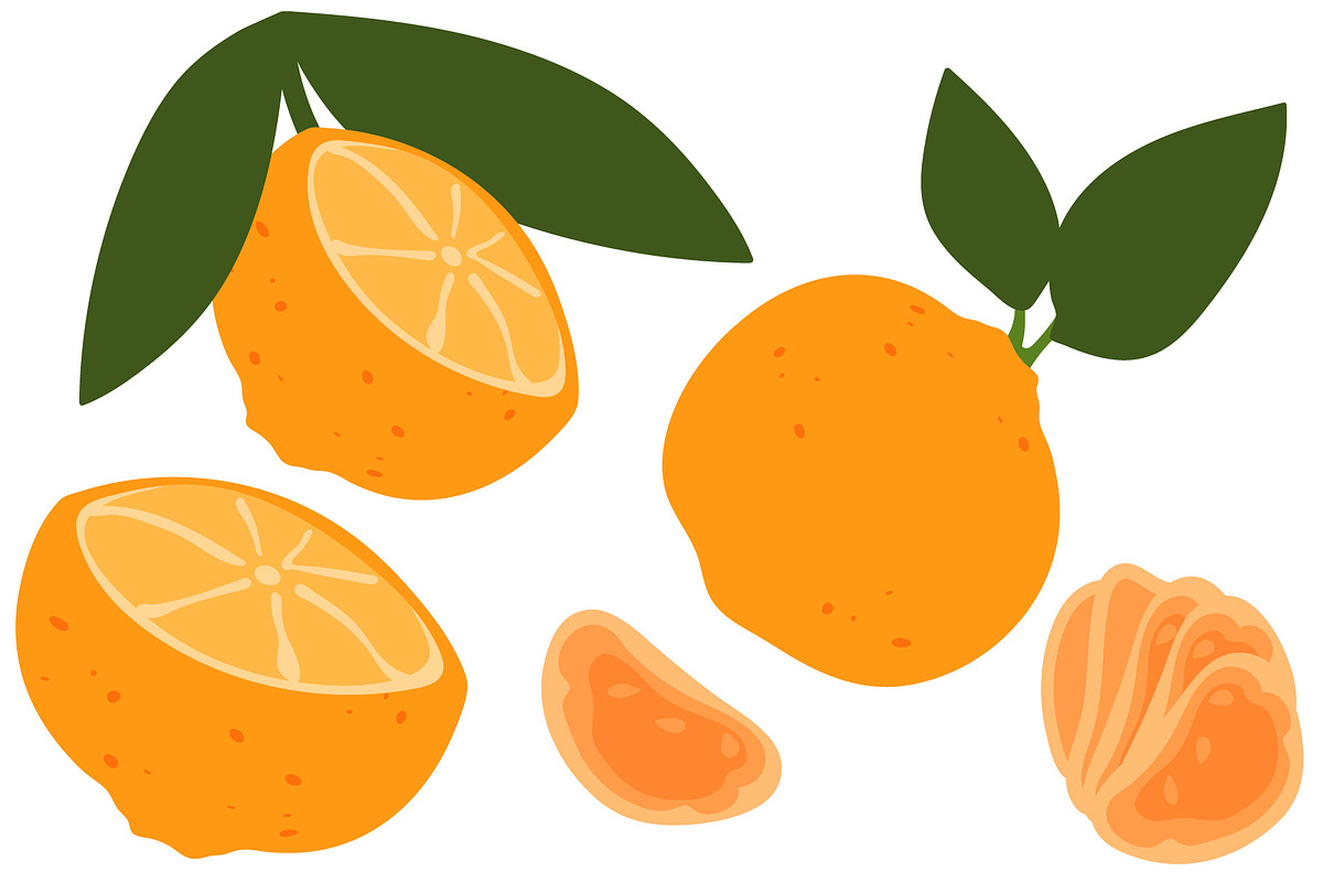 Vector Tangerine Illustrations, a Food Illustration by UoaHH (Photo 2 of 3)