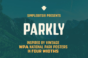 Parkly — Vintage display sans, a Sans Serif Font by SimpleBits®