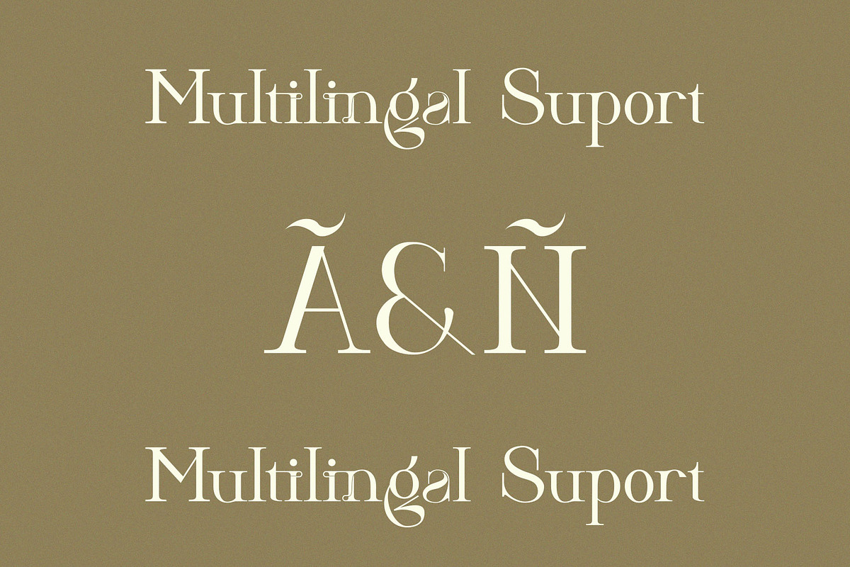 Hitocie Ligature Serif Typeface, a Serif Font by Humaira_std (Photo 10 of 12)