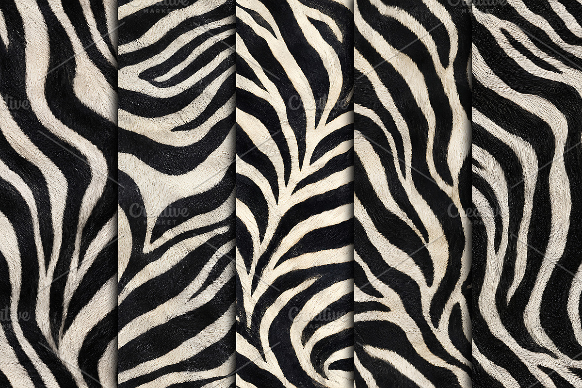 Realistic Black White Zebra Texture, a Pattern Graphic by Artonix (Photo 2 of 4)