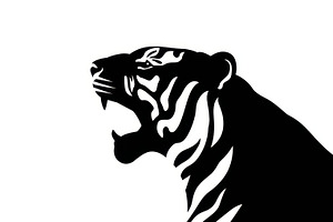 Tiger roaring in black silhouette, a Photo by Beautiful things