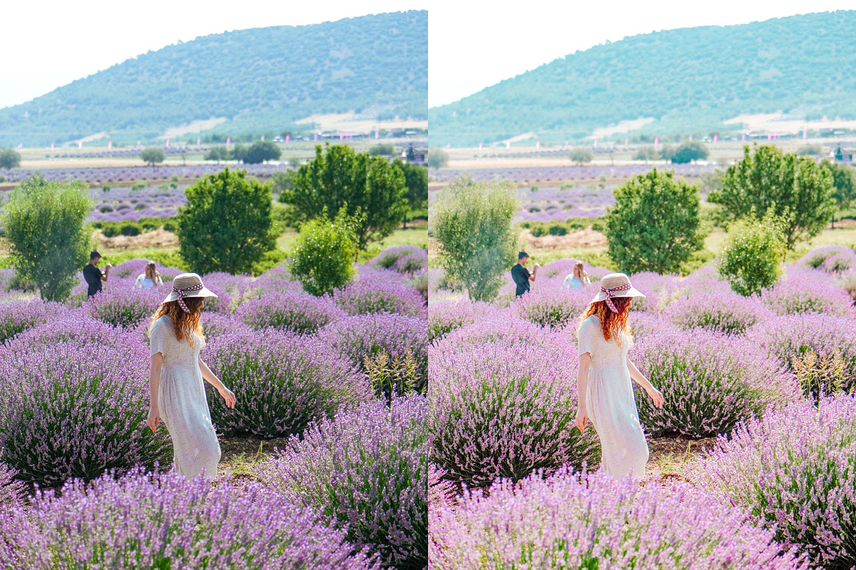 5 SPRING BLOSSOM LIGHTROOM PRESETS, an Action Add-On by Emma Kate Creative (Photo 4 of 10)