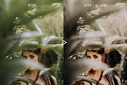 Grassland ACR Photoshop Presets, an Action Add-On by FilterAtelier (Thumbnail 13 of 15)
